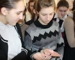 images/2016/O_grehe_aborta_i_semeynih_tsennostyah_govorili_v_shkolah1534552.jpg