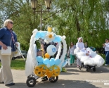 images/2016/V_Megdunarodniy_den_semi_v_Bobruyske_sostoyalsya_parad_detskih2905204.jpg