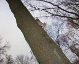 images/2017/Bratstva_Uladzimira_Hiraska_zdeysnila_padarogga_u2679544.jpg