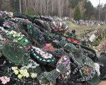 images/2017/Kak_mi_na_Radonitsu_givie_tsveti_na_kladbishche1956791.jpg