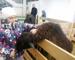 images/2017/Kak_proshel_perviy_den_vistavki_Verbni_kirmash_Noviy5471320.jpg