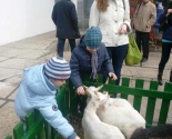 images/2017/Kak_proshel_perviy_den_vistavki_Verbni_kirmash_Noviy6790792.jpg