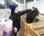 images/2017/Kak_proshel_perviy_den_vistavki_Verbni_kirmash_Noviy7763110.jpg