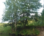 images/2018/Bratstva_Uladzimira_Hiraska_zladzila_adpachinak_na2182084.jpg