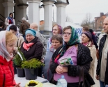 images/2018/Kak_rasskazat_o_vrede_iskusstvennih_tsvetov_na_tserkovnom7373403.jpg