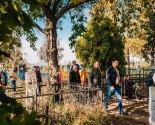 images/2018/Pokrov_u_matushki3630347.jpg