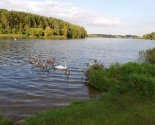 images/2019/Bratstva_Uladzimira_Hiraska_zdeysnila4859522.jpg
