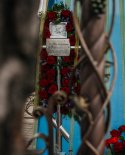images/2019/Prirodnimi_materialami_i_givimi_tsvetami_ukrasili/