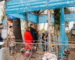 images/2019/Prirodnimi_materialami_i_givimi_tsvetami_ukrasili/