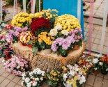 images/2019/Prirodnimi_materialami_i_givimi_tsvetami_ukrasili/