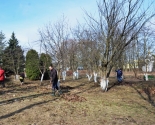 images/2019/Sotsialnie_masterskie_prihoda_ikoni_Vseh_skorbyashchih_0422203805/