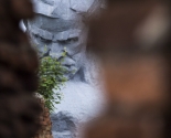 images/2019/V_Brestskoy_kreposti_proshyol_miting6976351.jpg