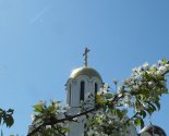 images/2020/Gizn_prodolgaetsya_Sad_nadegdi_minskogo_Radoste_Skorbyashchenskogo2468012.jpg