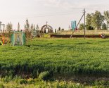 images/2020/K_prazdniku_Svyatoy_Troitsi_palomniki_ukrasili/