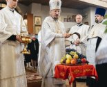 images/2021/Megdunarodniy_plener_Zaslavskiy_Spas_proshel_pod_Minskom8109808.jpg