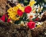 images/2021/Na_Pashu_mogilku_blagennoy_Valentini_Minskoy/