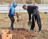 images/2021/V_Onoshkah_sozdana_alleya_svyatoy_Sofii6546119.jpg