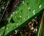 images/2021/Vodosvyatniy_moleben_i_osvyashchenniy_air_podarok/