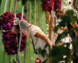 images/2021/Vodosvyatniy_moleben_i_osvyashchenniy_air_podarok/