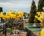 images/2022/Palomniki_ukrasili_k_Pashe_mesto_upokoeniya_blagennoy_Valentini3411565.jpg