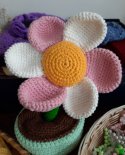images/2023/Sotsialnie_masterskie_nachali_rabotu_v_novom_0904165308/