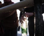 images/2024/Prazdnik_Kreshcheniya_Gospodnya_v_prihode_ikoni/