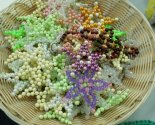 images/2025/Studenti_istoricheskogo_fakulteta_BGU_posetili_prihod/