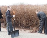 images/2025/Volonteri_BRSM_Frunzenskogo_rayona_potrudilis_na/