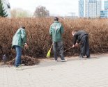 images/2025/Volonteri_BRSM_Frunzenskogo_rayona_potrudilis_na/