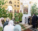 images/2026/V_prazdnik_Svyatogo_Duha_Mitropolit_Veniamin/