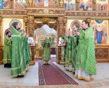 images/2026/V_prazdnik_Vhoda_Gospodnya_v_Ierusalim_0405194119/