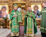 images/2026/V_prazdnik_Vhoda_Gospodnya_v_Ierusalim_0405194119/
